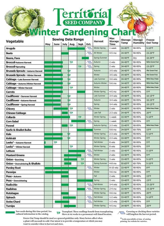 Winter Gardening Chart